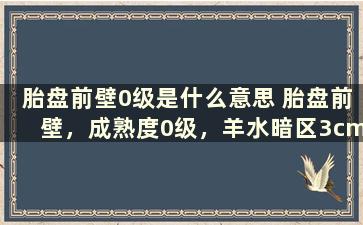 胎盘前壁0级是什么意思 胎盘前壁，成熟度0级，羊水暗区3cm，NT0.14cm，啥意思